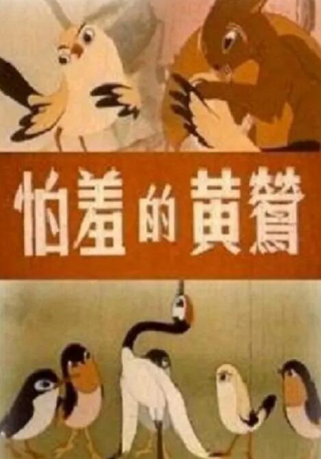 国产不卡理论